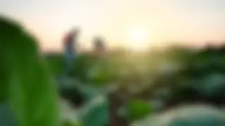 Bundesrat passt mehrere Agrarverordnungen an