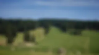 Übersicht über die Direktzahlungen