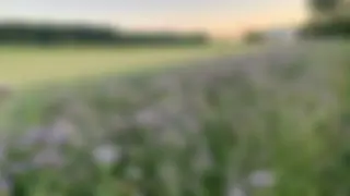 Das Landwirtschaftsjahr 2024
